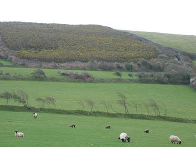 Wonderful rolling countryside