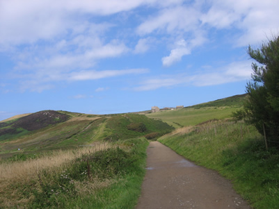 Inland at Baggy Point