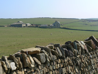 Rolling farmland at Baggy Point